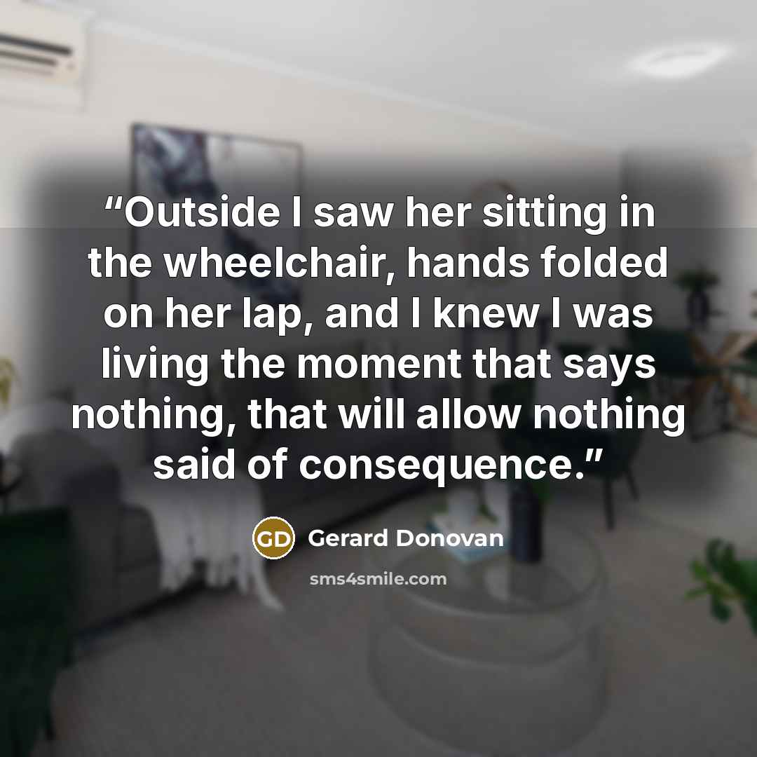 “Outside I saw her sitting in the wheelchair, hands folded on her lap, and I knew I was living the moment that says nothing, that will allow nothing said of consequence.” quote by Gerard Donovan