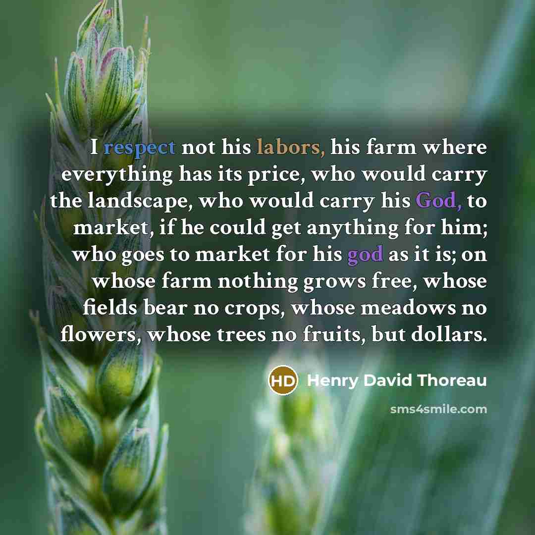 “I respect not his labors, his farm where everything has its price, who would carry the landscape, who would carry his God, to market, if he could get anything for him; who goes to market for his god as it is; on whose farm nothing grows free, whose fields bear no crops, whose meadows no flowers…” quote by Henry David Thoreau