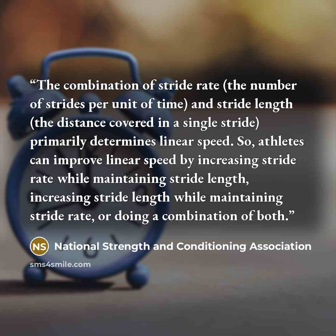 “The combination of stride rate (the number of strides per unit of time) and stride length (the distance covered in a single stride) primarily determines linear speed. So, athletes can improve linear speed by increasing stride rate while maintaining stride length, increasing stride length while…” quote by National Strength and Conditioning Association
