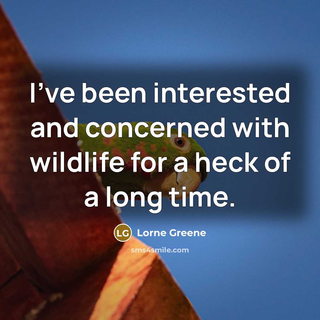 “I've been interested and concerned with wildlife for a heck of a long time.” quote by Lorne Greene
