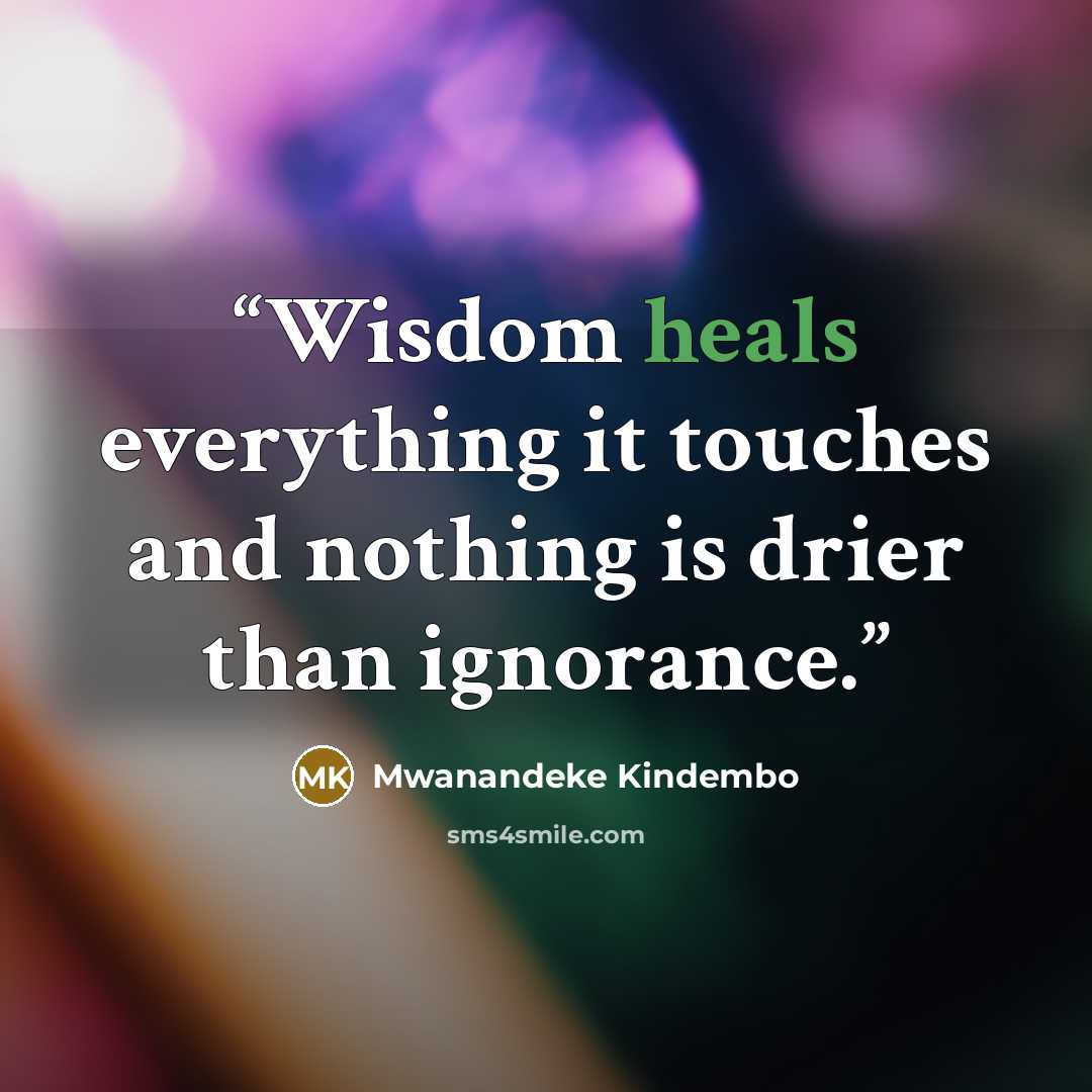 “Wisdom heals everything it touches and nothing is drier than ignorance.” quote by Mwanandeke Kindembo