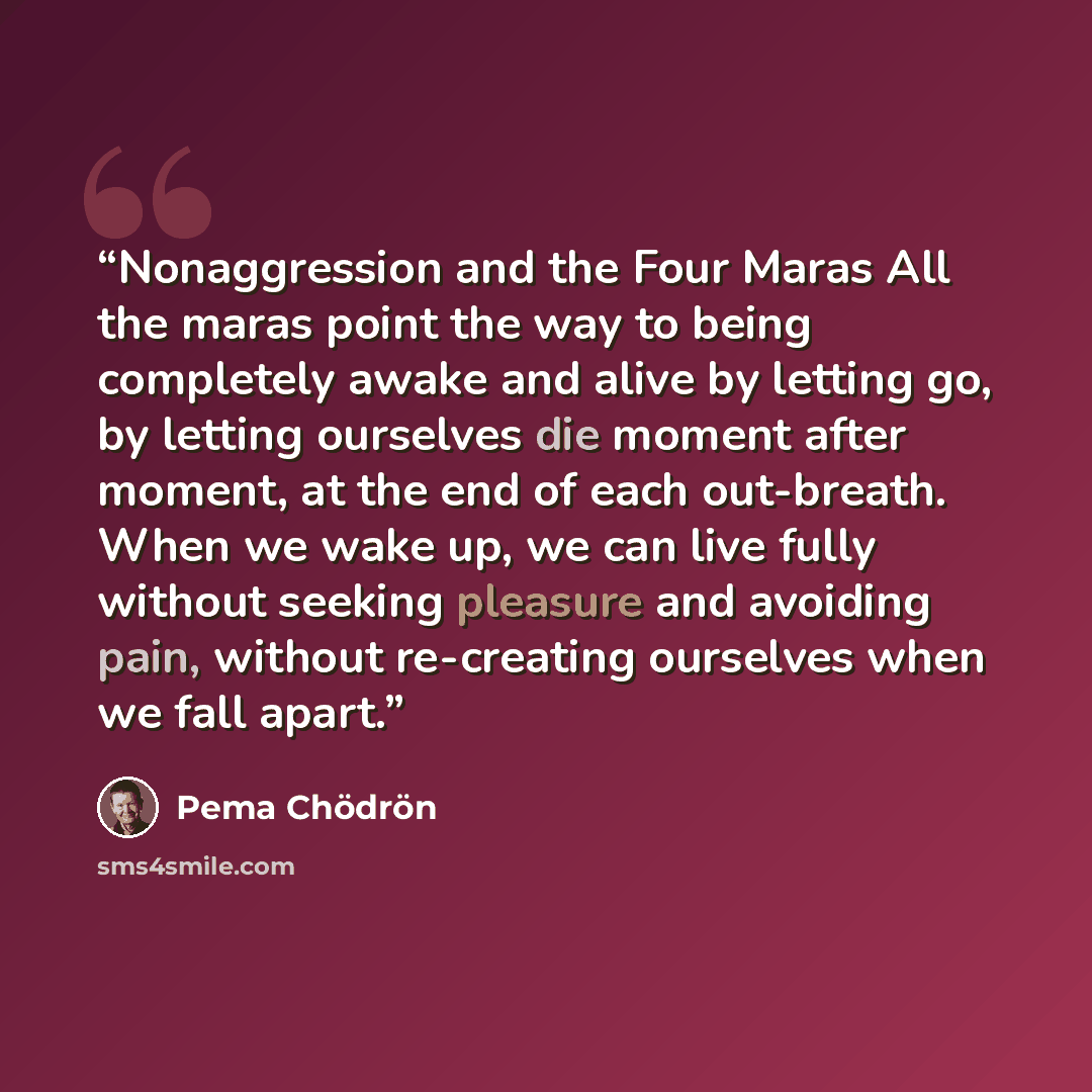 “Nonaggression and the Four Maras All the maras point the way to being completely awake and alive by letting go, by letting ourselves die moment after moment, at the end of each out-breath. When we wake up, we can live fully without seeking pleasure and avoiding pain, without re-creating ourselves…” quote by Pema Chödrön