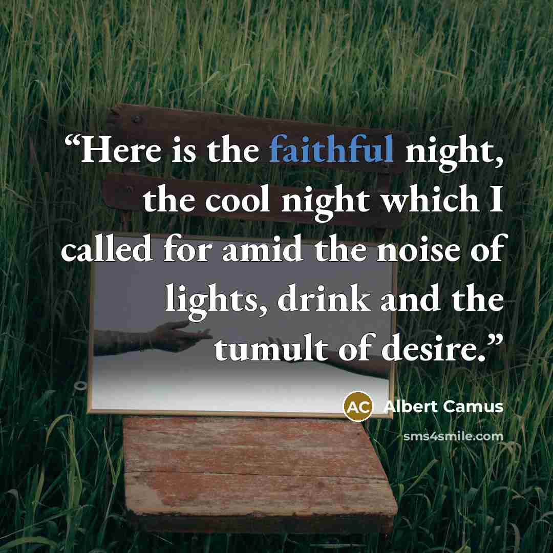 “Here is the faithful night, the cool night which I called for amid the noise of lights, drink and the tumult of desire.” quote by Albert Camus
