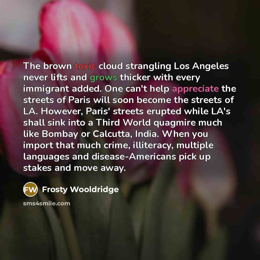 “The brown toxic cloud strangling Los Angeles never lifts and grows thicker with every immigrant added. One can't help appreciate the streets of Paris will soon become the streets of LA. However, Paris' streets erupted while LA's shall sink into a Third World quagmire much like Bombay or Calcutta…” quote by Frosty Wooldridge