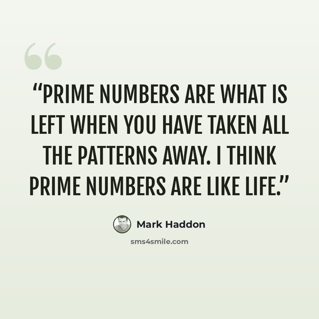 “Prime numbers are what is left when you have taken all the patterns away. I think prime numbers are like life.” quote by Mark Haddon