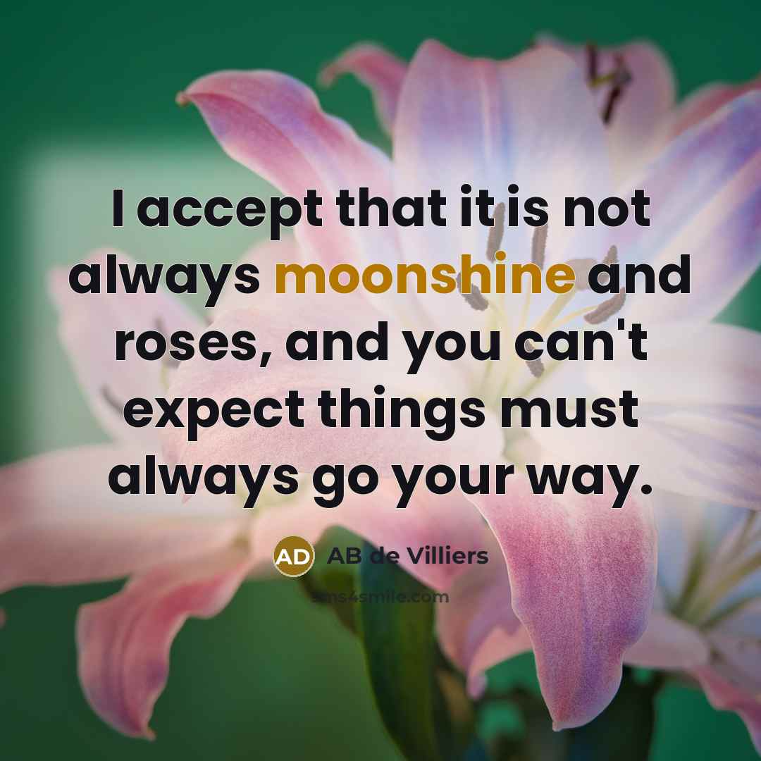 “I accept that it is not always moonshine and roses, and you can't expect things must always go your way.” quote by AB de Villiers