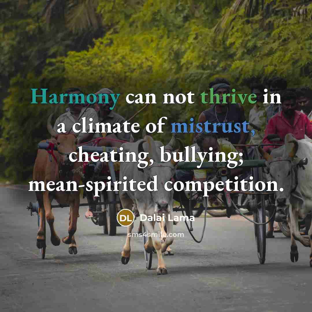 “Harmony can not thrive in a climate of mistrust, cheating, bullying; mean-spirited competition.” quote by Dalai Lama