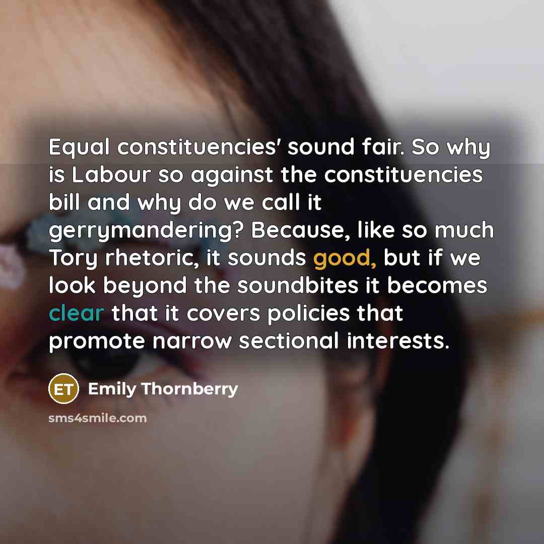“Equal constituencies' sound fair. So why is Labour so against the constituencies bill and why do we call it gerrymandering? Because, like so much Tory rhetoric, it sounds good, but if we look beyond the soundbites it becomes clear that it covers policies that promote narrow sectional interests.” quote by Emily Thornberry