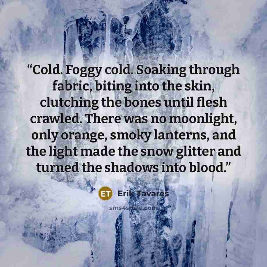 “Cold. Foggy cold. Soaking through fabric, biting into the skin, clutching the bones until flesh crawled. There was no moonlight, only orange, smoky lanterns, and the light made the snow glitter and turned the shadows into blood.” quote by Erik Tavares