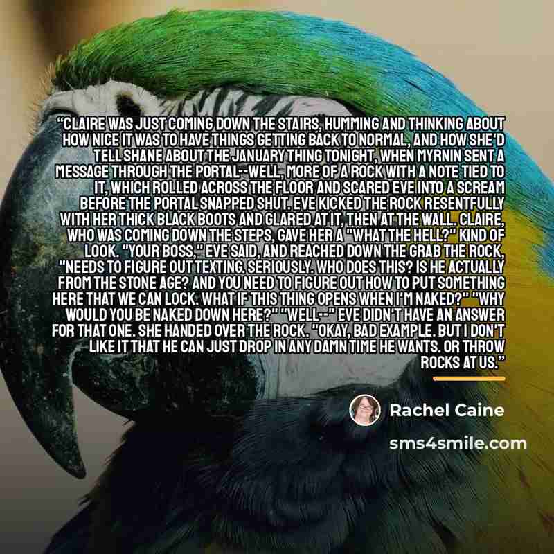 “Claire was just coming down the stairs, humming and thinking about how nice it was to have things getting back to normal, and how she'd tell Shane about the January thing tonight, when Myrnin sent a message through the portal--well, more of a rock with a note tied to it, which rolled across the…” quote by Rachel Caine