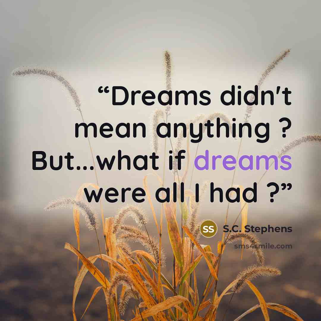 “Dreams didn't mean anything ? But...what if dreams were all I had ?” quote by S.C. Stephens