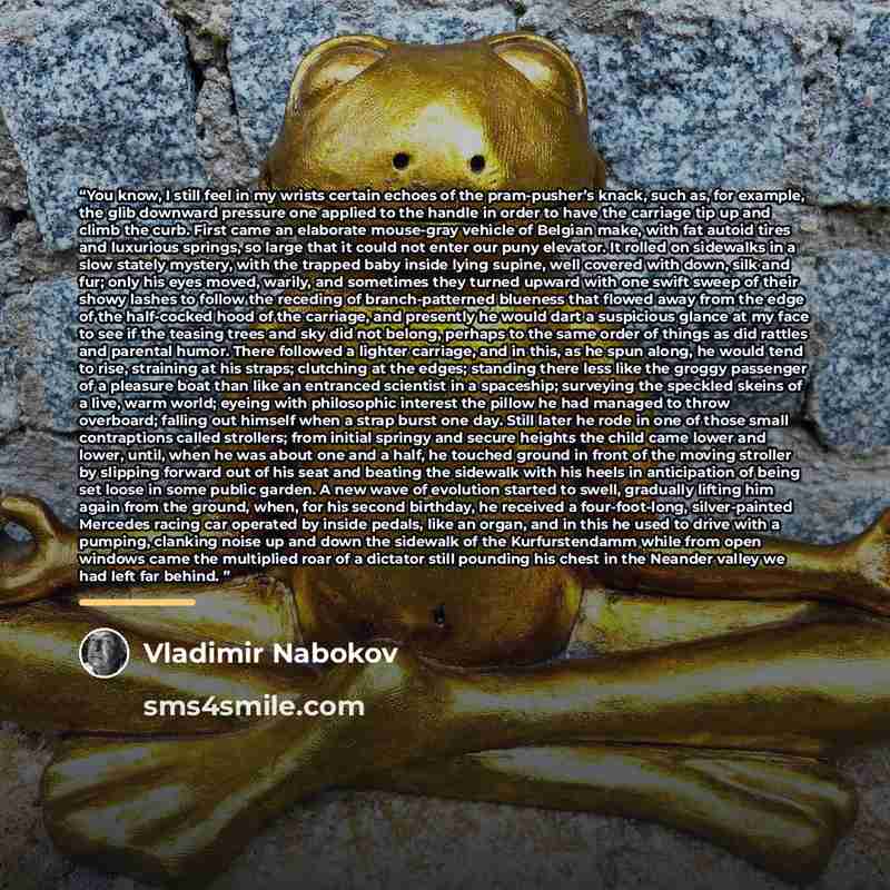 “You know, I still feel in my wrists certain echoes of the pram-pusher’s knack, such as, for example, the glib downward pressure one applied to the handle in order to have the carriage tip up and climb the curb. First came an elaborate mouse-gray vehicle of Belgian make, with fat autoid tires and…” quote by Vladimir Nabokov