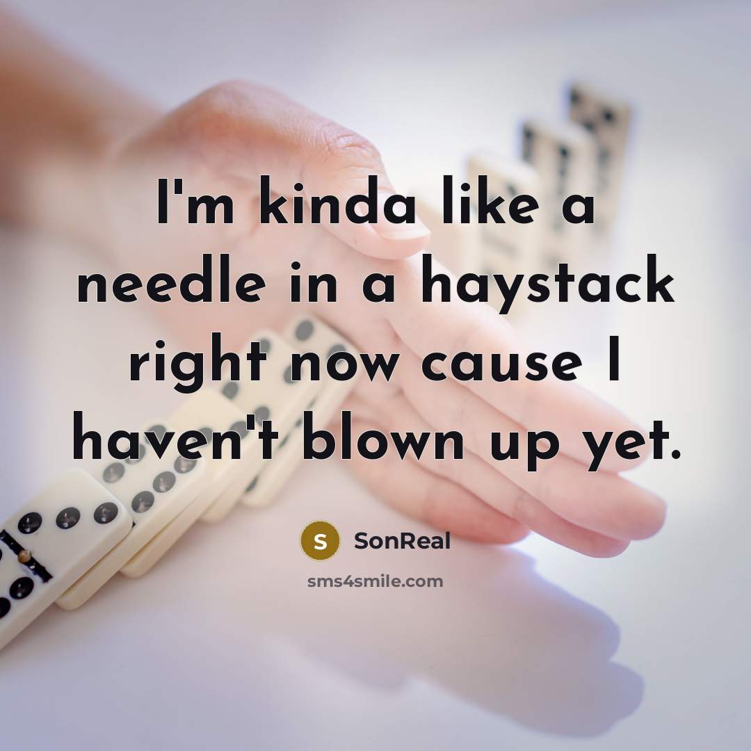 “I'm kinda like a needle in a haystack right now cause I haven't blown up yet.” quote by SonReal