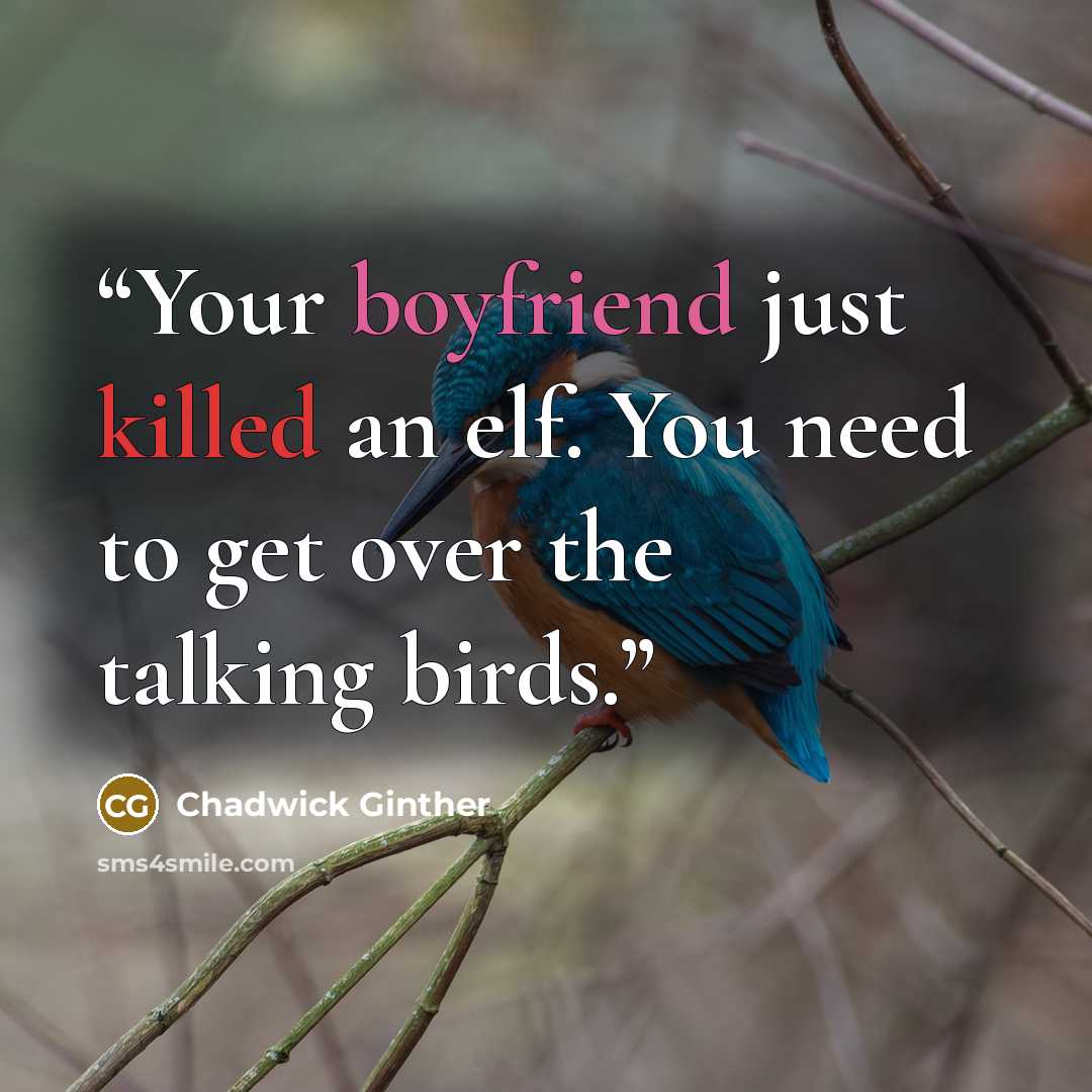 “Your boyfriend just killed an elf. You need to get over the talking birds.” quote by Chadwick Ginther