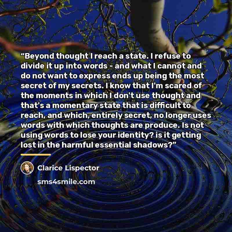 “Beyond thought I reach a state. I refuse to divide it up into words - and what I cannot and do not want to express ends up being the most secret of my secrets. I know that I'm scared of the moments in which I don't use thought and that's a momentary state that is difficult to reach, and which…” quote by Clarice Lispector