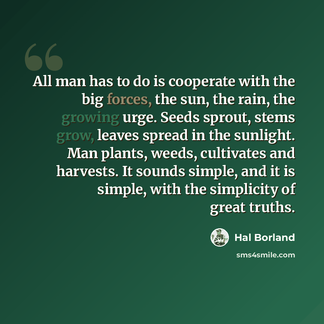 “All man has to do is cooperate with the big forces, the sun, the rain, the growing urge. Seeds sprout, stems grow, leaves spread in the sunlight. Man plants, weeds, cultivates and harvests. It sounds simple, and it is simple, with the simplicity of great truths.” quote by Hal Borland