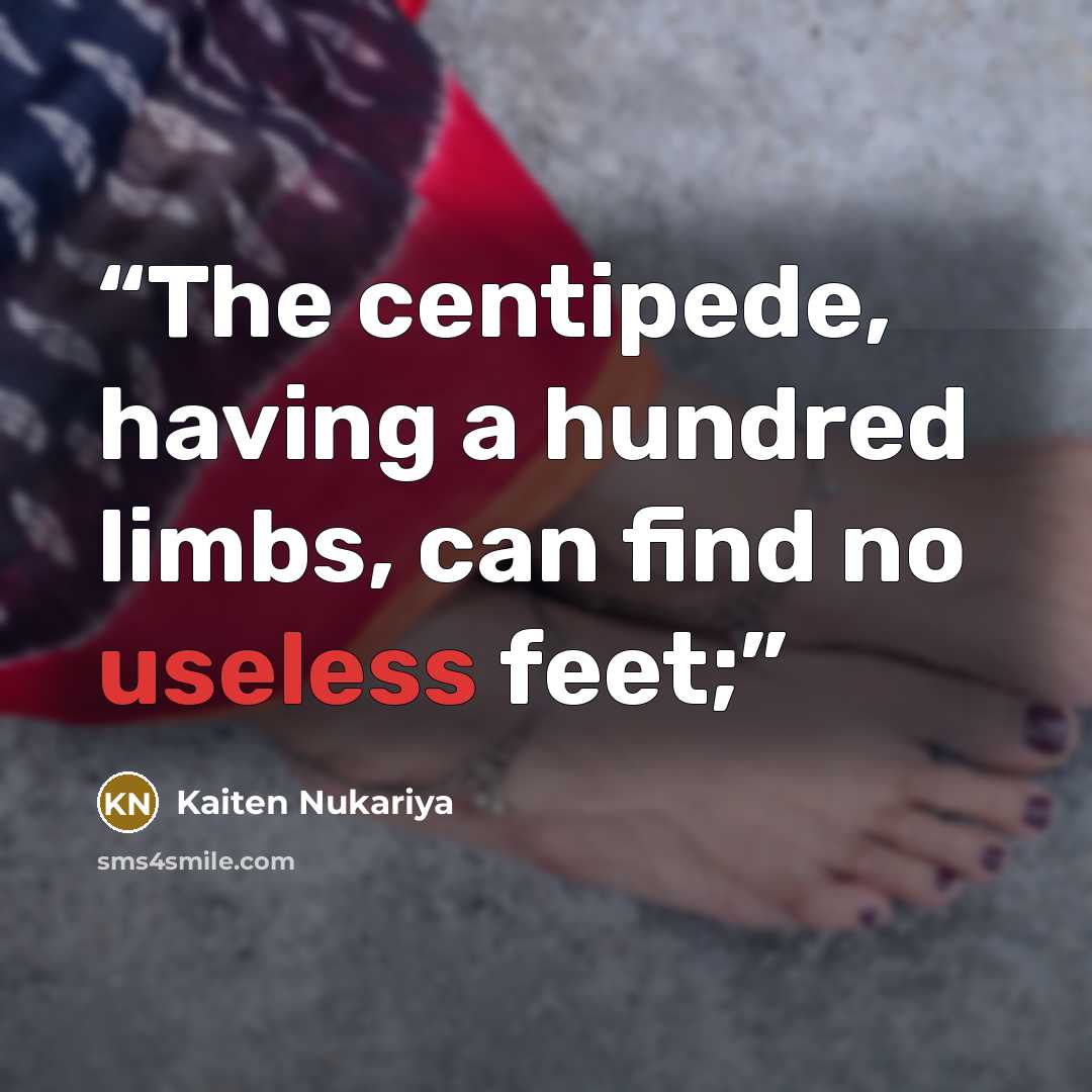 “The centipede, having a hundred limbs, can find no useless feet;” quote by Kaiten Nukariya
