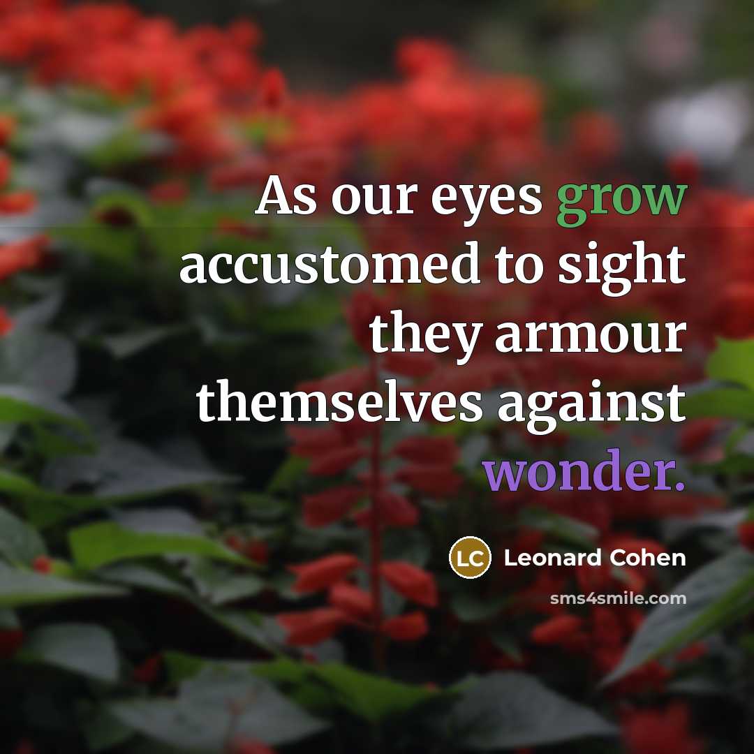 “As our eyes grow accustomed to sight they armour themselves against wonder.” quote by Leonard Cohen