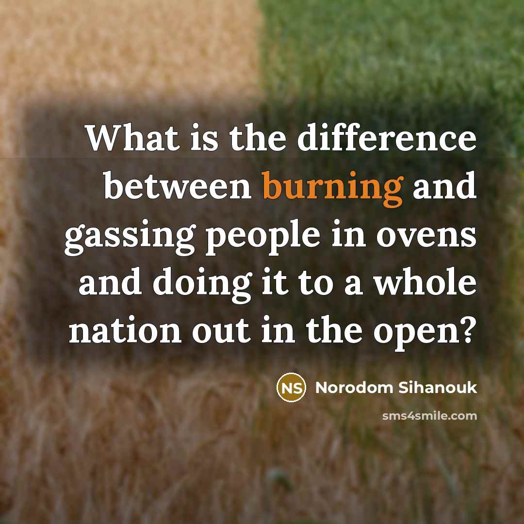 “What is the difference between burning and gassing people in ovens and doing it to a whole nation out in the open?” quote by Norodom Sihanouk