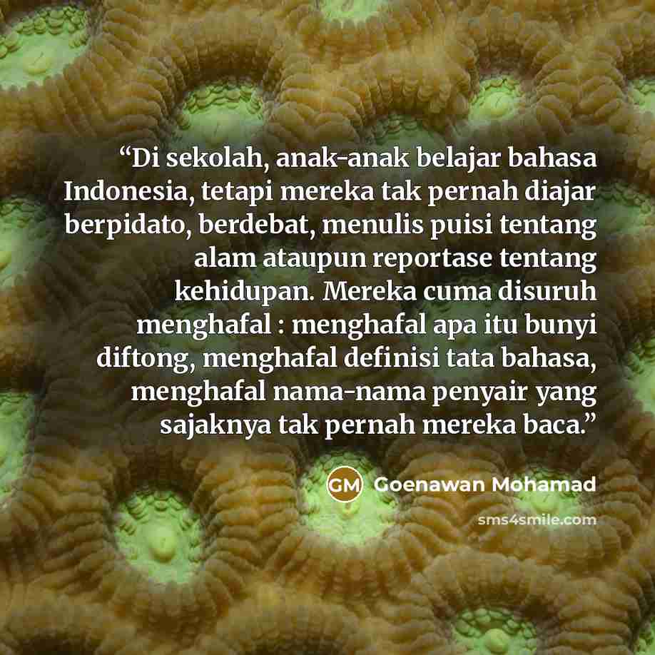“Di sekolah, anak-anak belajar bahasa Indonesia, tetapi mereka tak pernah diajar berpidato, berdebat, menulis puisi tentang alam ataupun reportase tentang kehidupan. Mereka cuma disuruh menghafal : menghafal apa itu bunyi diftong, menghafal definisi tata bahasa, menghafal nama-nama penyair yang…” quote by Goenawan Mohamad