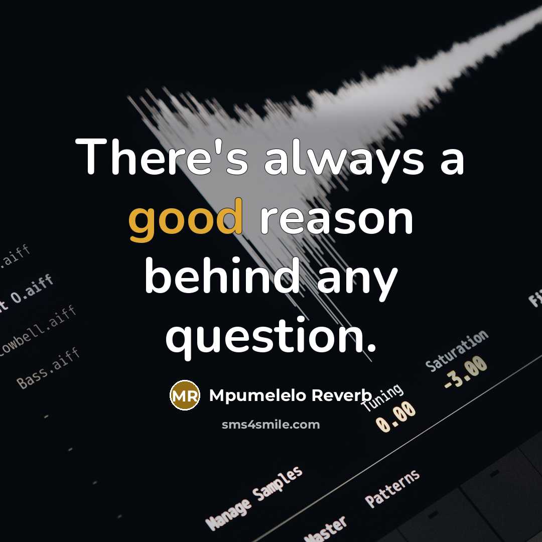 “There's always a good reason behind any question.” quote by Mpumelelo Reverb