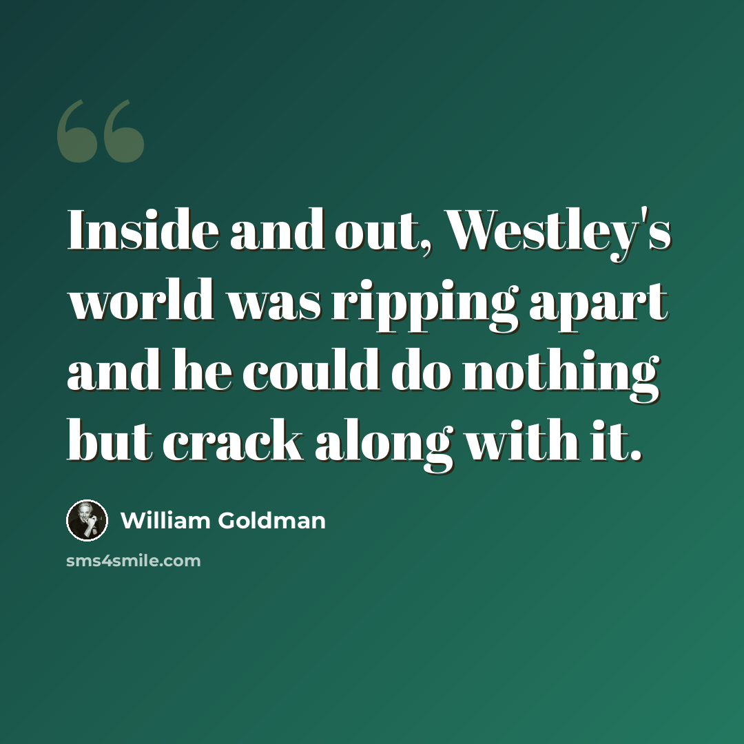 “Inside and out, Westley's world was ripping apart and he could do nothing but crack along with it.” quote by William Goldman