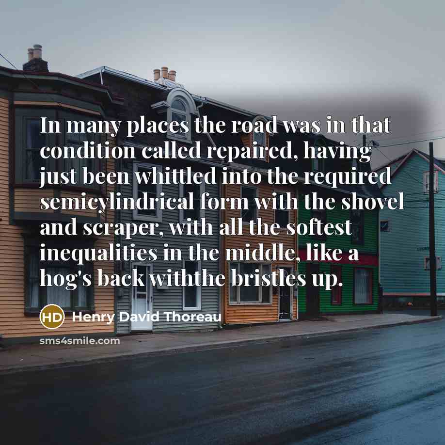 “In many places the road was in that condition called repaired, having just been whittled into the required semicylindrical form with the shovel and scraper, with all the softest inequalities in the middle, like a hog's back withthe bristles up.” quote by Henry David Thoreau