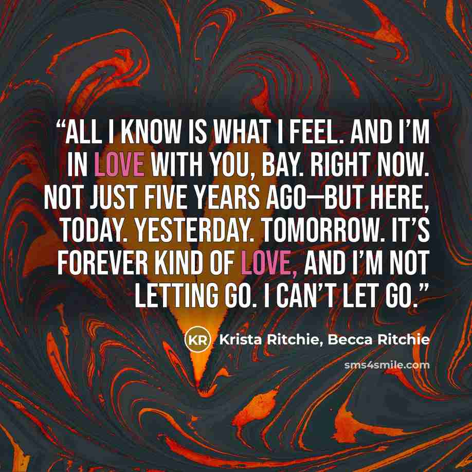 “All I know is what I feel. And I’m in love with you, Bay. Right now. Not just five years ago—but here, today. Yesterday. Tomorrow. It’s forever kind of love, and I’m not letting go. I can’t let go.” quote by Krista Ritchie, Becca Ritchie