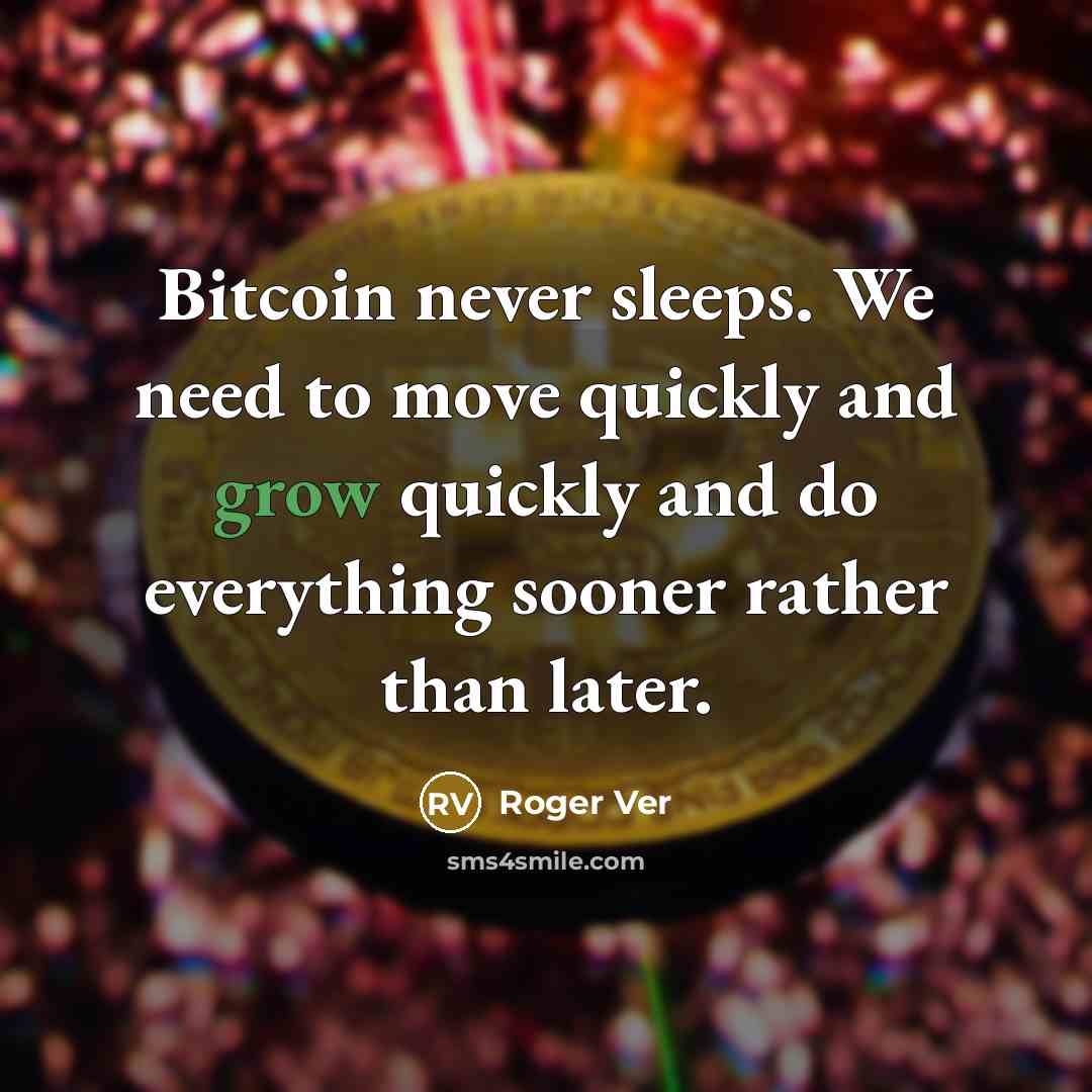 “Bitcoin never sleeps. We need to move quickly and grow quickly and do everything sooner rather than later.” quote by Roger Ver