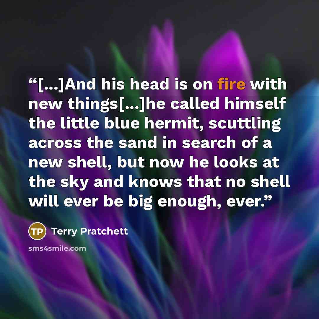 “[...]And his head is on fire with new things[...]he called himself the little blue hermit, scuttling across the sand in search of a new shell, but now he looks at the sky and knows that no shell will ever be big enough, ever.” quote by Terry Pratchett