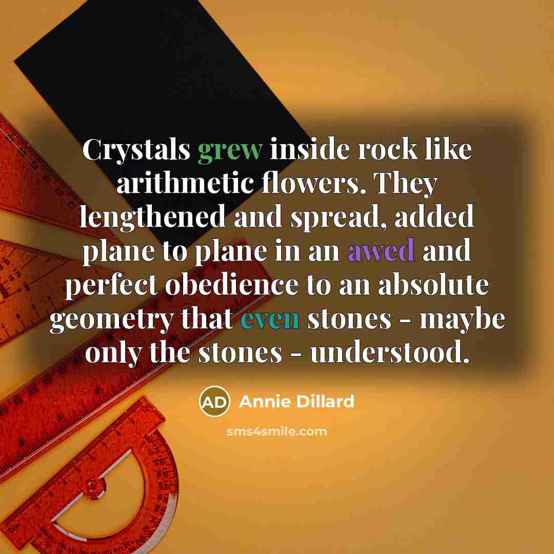 “Crystals grew inside rock like arithmetic flowers. They lengthened and spread, added plane to plane in an awed and perfect obedience to an absolute geometry that even stones - maybe only the stones - understood.” quote by Annie Dillard