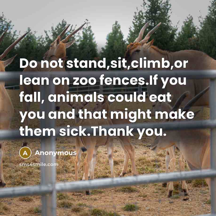 “Do not stand,sit,climb,or lean on zoo fences.If you fall, animals could eat you and that might make them sick.Thank you.” quote by Anonymous