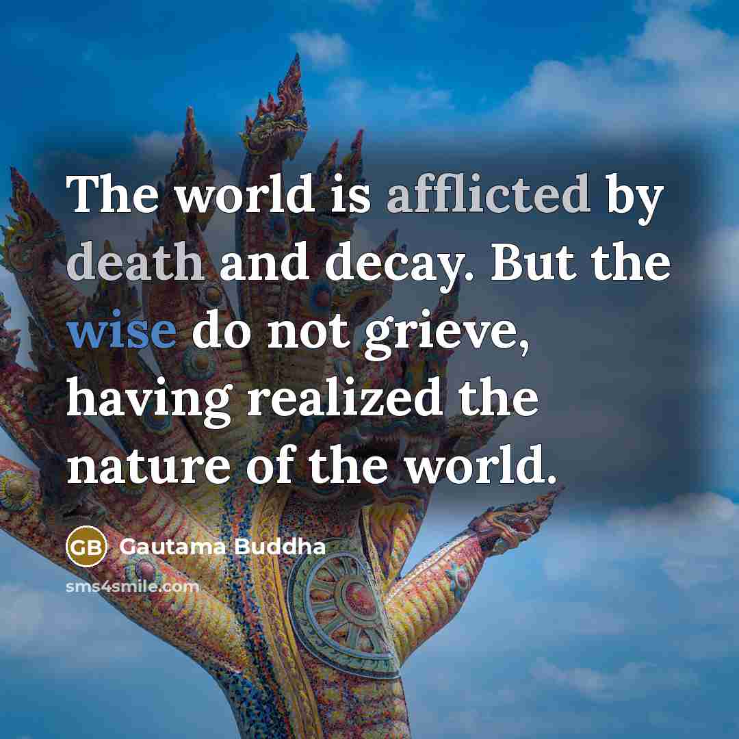 “The world is afflicted by death and decay. But the wise do not grieve, having realized the nature of the world.” quote by Gautama Buddha