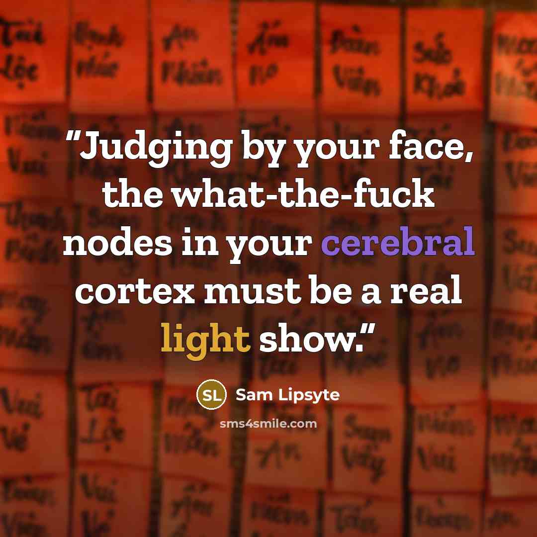 “Judging by your face, the what-the-fuck nodes in your cerebral cortex must be a real light show.” quote by Sam Lipsyte