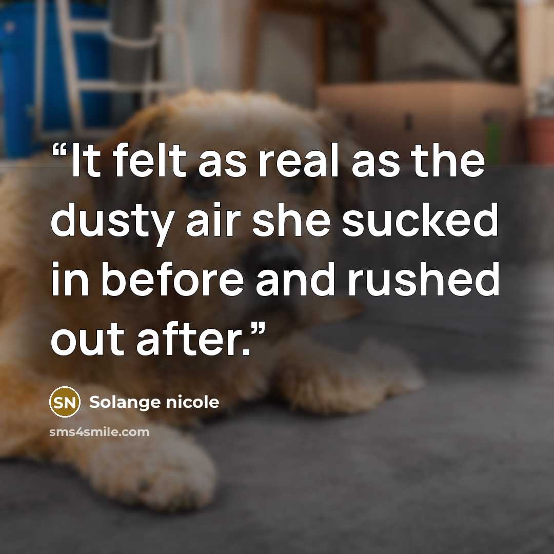 “It felt as real as the dusty air she sucked in before and rushed out after.” quote by Solange nicole
