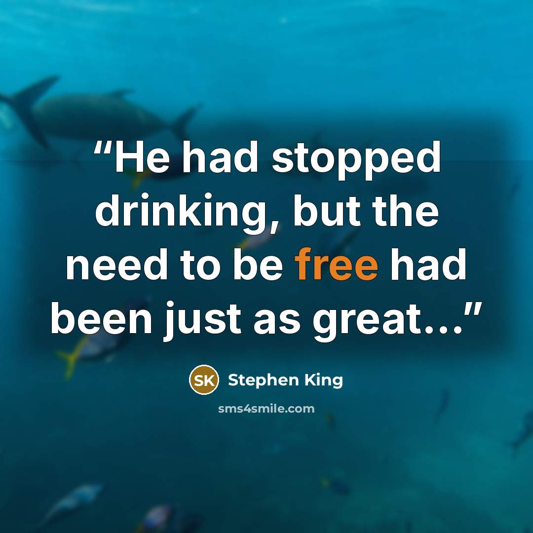 “He had stopped drinking, but the need to be free had been just as great...” quote by Stephen King