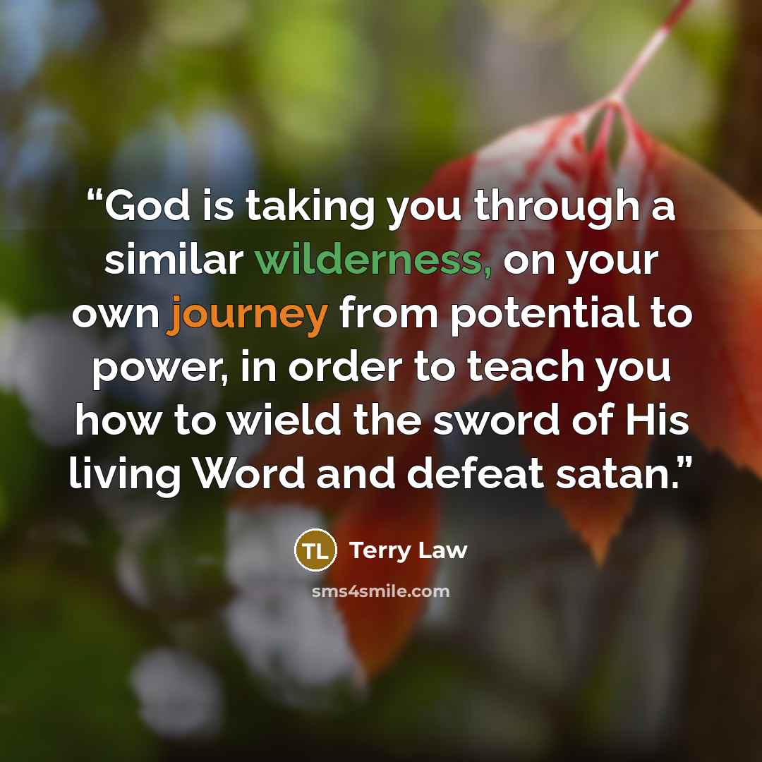 “God is taking you through a similar wilderness, on your own journey from potential to power, in order to teach you how to wield the sword of His living Word and defeat satan.” quote by Terry Law