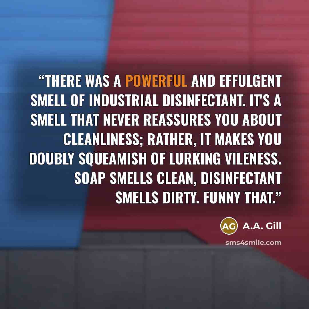 “There was a powerful and effulgent smell of industrial disinfectant. It's a smell that never reassures you about cleanliness; rather, it makes you doubly squeamish of lurking vileness. Soap smells clean, disinfectant smells dirty. Funny that.” quote by A.A. Gill