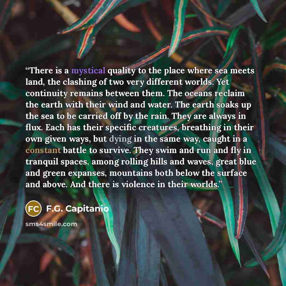 “There is a mystical quality to the place where sea meets land, the clashing of two very different worlds. Yet continuity remains between them. The oceans reclaim the earth with their wind and water. The earth soaks up the sea to be carried off by the rain. They are always in flux. Each has their…” quote by F.G. Capitanio