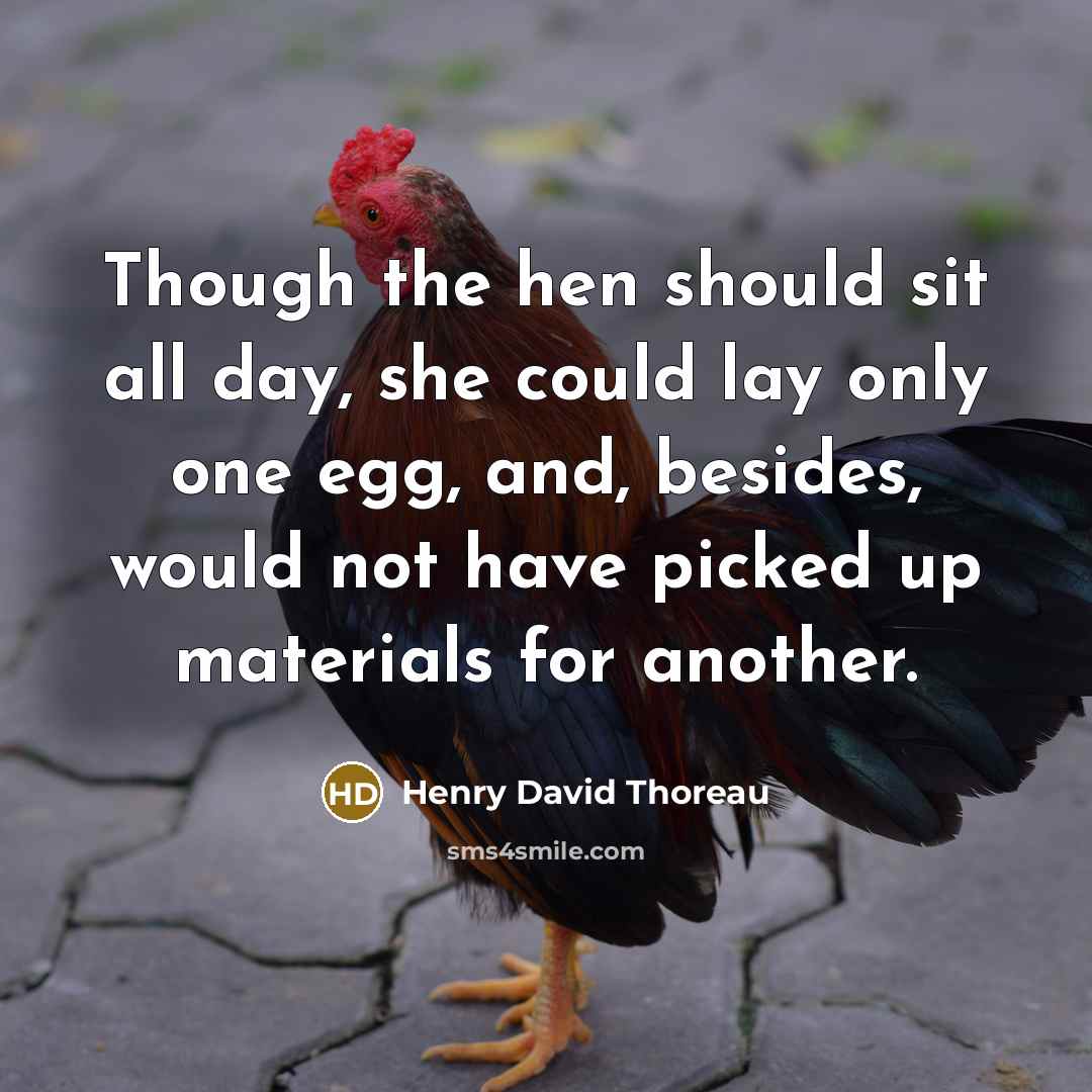 “Though the hen should sit all day, she could lay only one egg, and, besides, would not have picked up materials for another.” quote by Henry David Thoreau