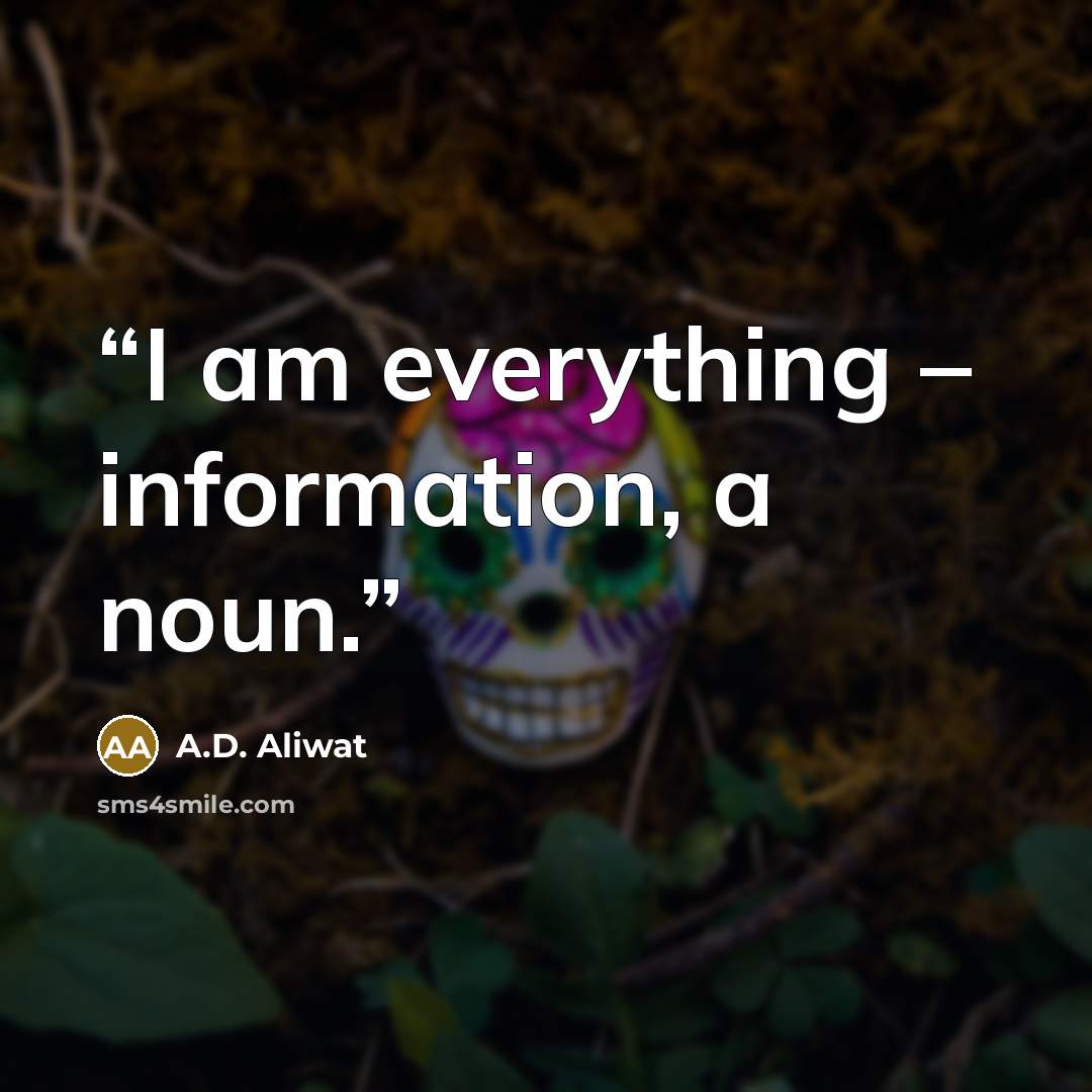“I am everything – information, a noun.” quote by A.D. Aliwat