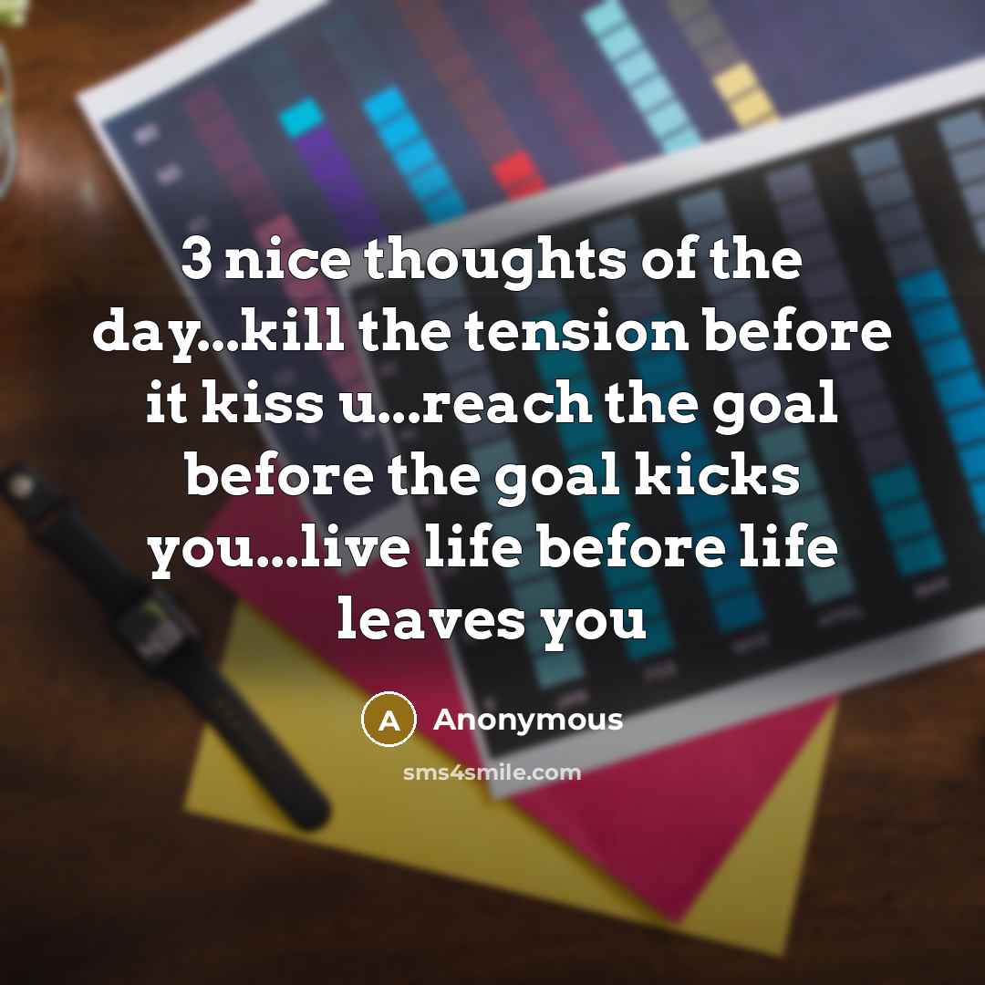 “3 nice thoughts of the day...kill the tension before it kiss u...reach the goal before the goal kicks you...live life before life leaves you” quote by Anonymous