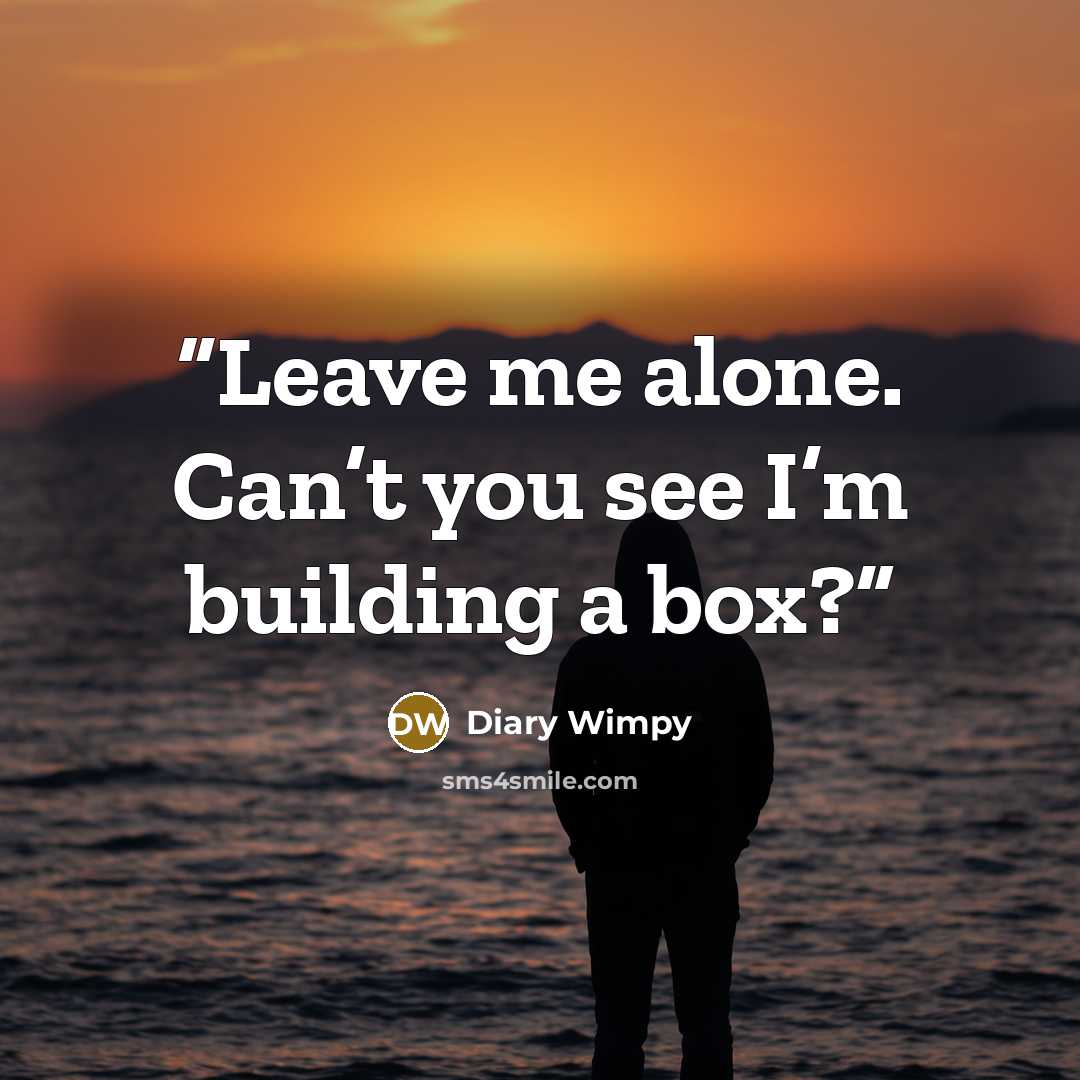 “Leave me alone. Can’t you see I’m building a box?” quote by Diary Wimpy