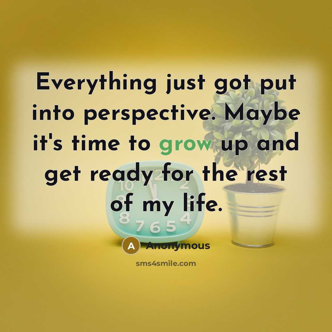 “Everything just got put into perspective. Maybe it's time to grow up and get ready for the rest of my life.” quote by Anonymous