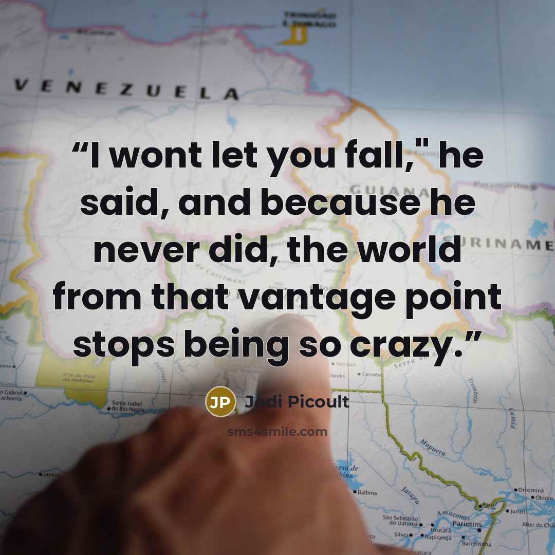“I wont let you fall," he said, and because he never did, the world from that vantage point stops being so crazy.” quote by Jodi Picoult