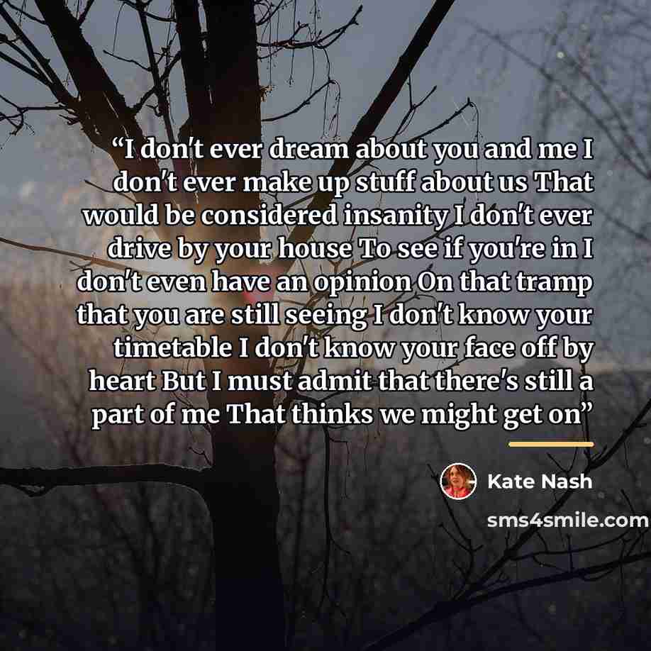 “I don't ever dream about you and me I don't ever make up stuff about us That would be considered insanity I don't ever drive by your house To see if you're in I don't even have an opinion On that tramp that you are still seeing I don't know your timetable I don't know your face off by heart But I…” quote by Kate Nash