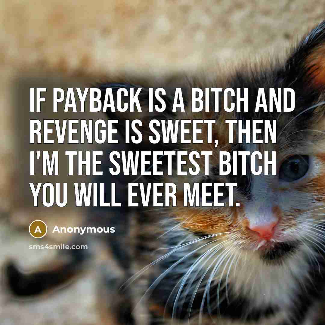 “If payback is a bitch and revenge is sweet, then I'm the sweetest bitch you will ever meet.” quote by Anonymous