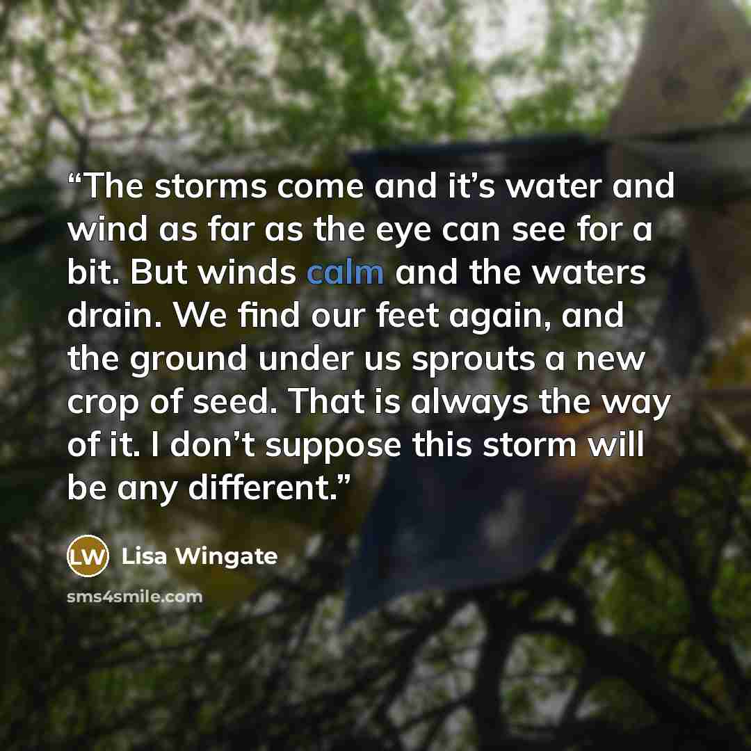 “The storms come and it’s water and wind as far as the eye can see for a bit. But winds calm and the waters drain. We find our feet again, and the ground under us sprouts a new crop of seed. That is always the way of it. I don’t suppose this storm will be any different.” quote by Lisa Wingate