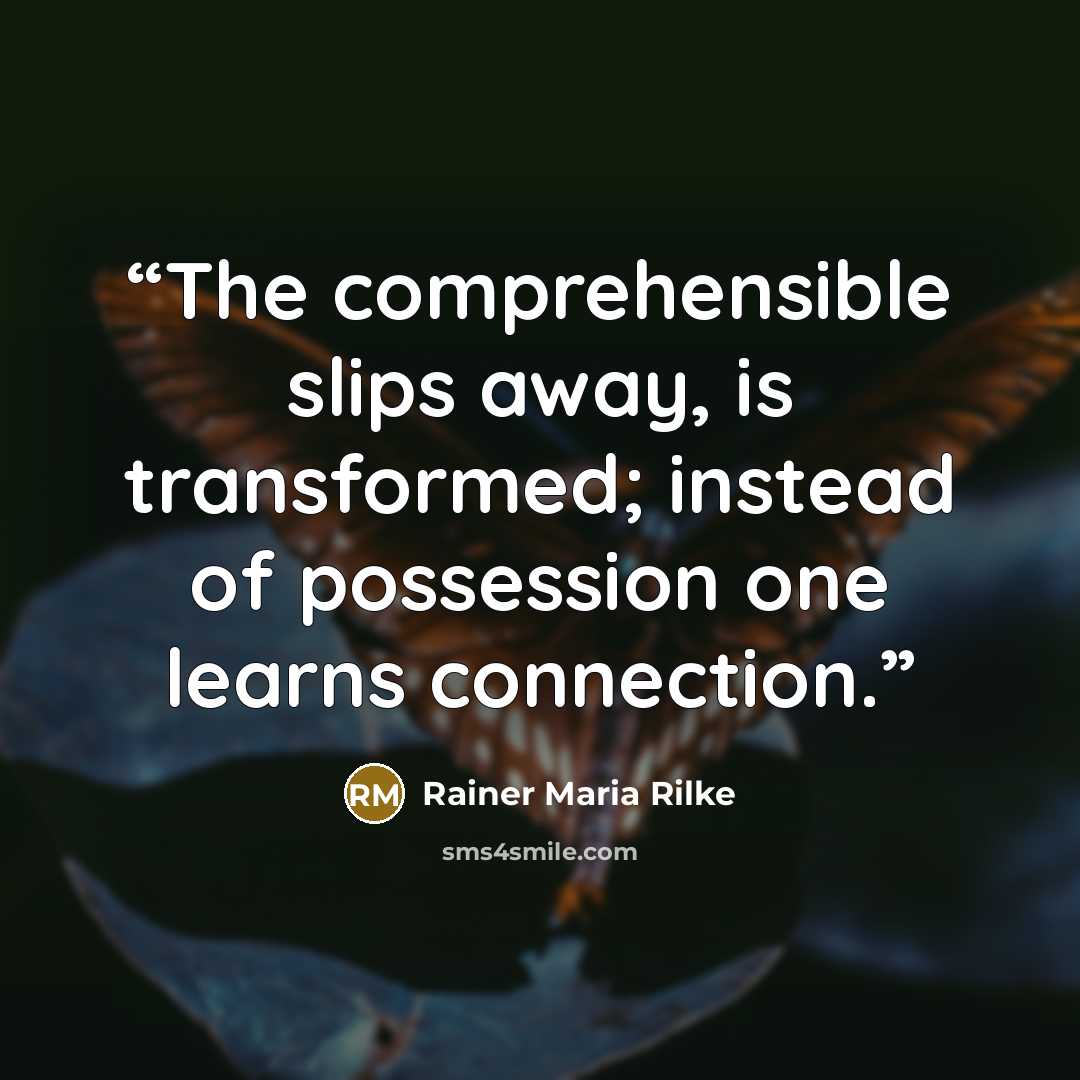 “The comprehensible slips away, is transformed; instead of possession one learns connection.” quote by Rainer Maria Rilke