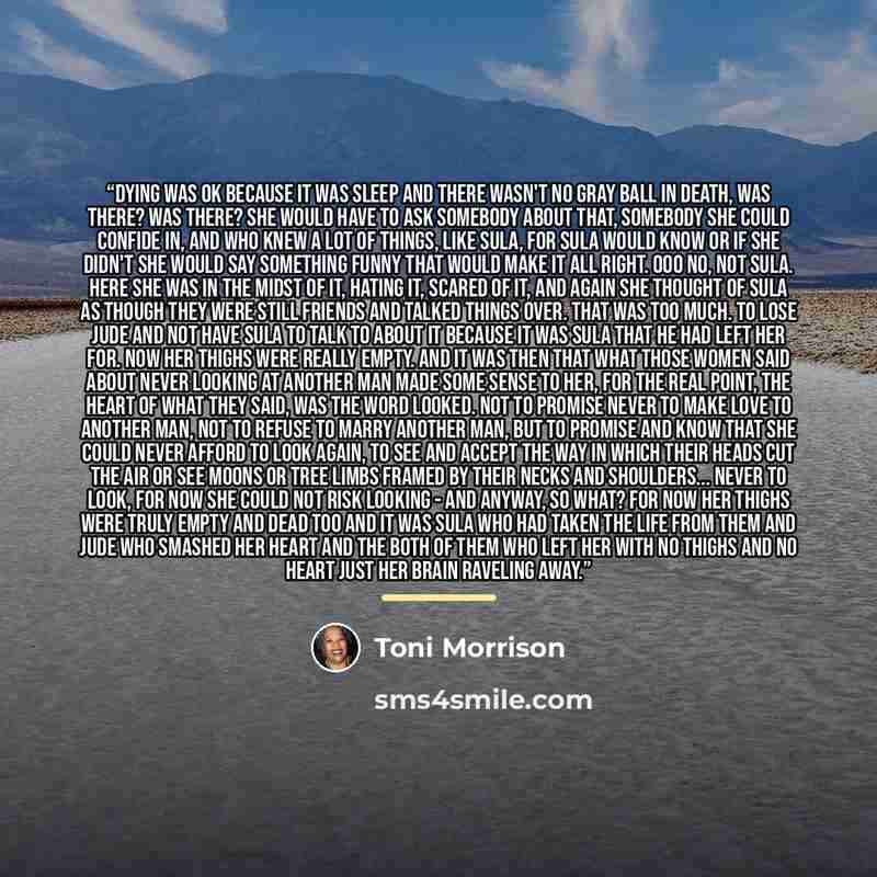 “Dying was OK because it was sleep and there wasn't no gray ball in death, was there? Was there? She would have to ask somebody about that, somebody she could confide in, and who knew a lot of things, like Sula, for Sula would know or if she didn't she would say something funny that would make it…” quote by Toni Morrison